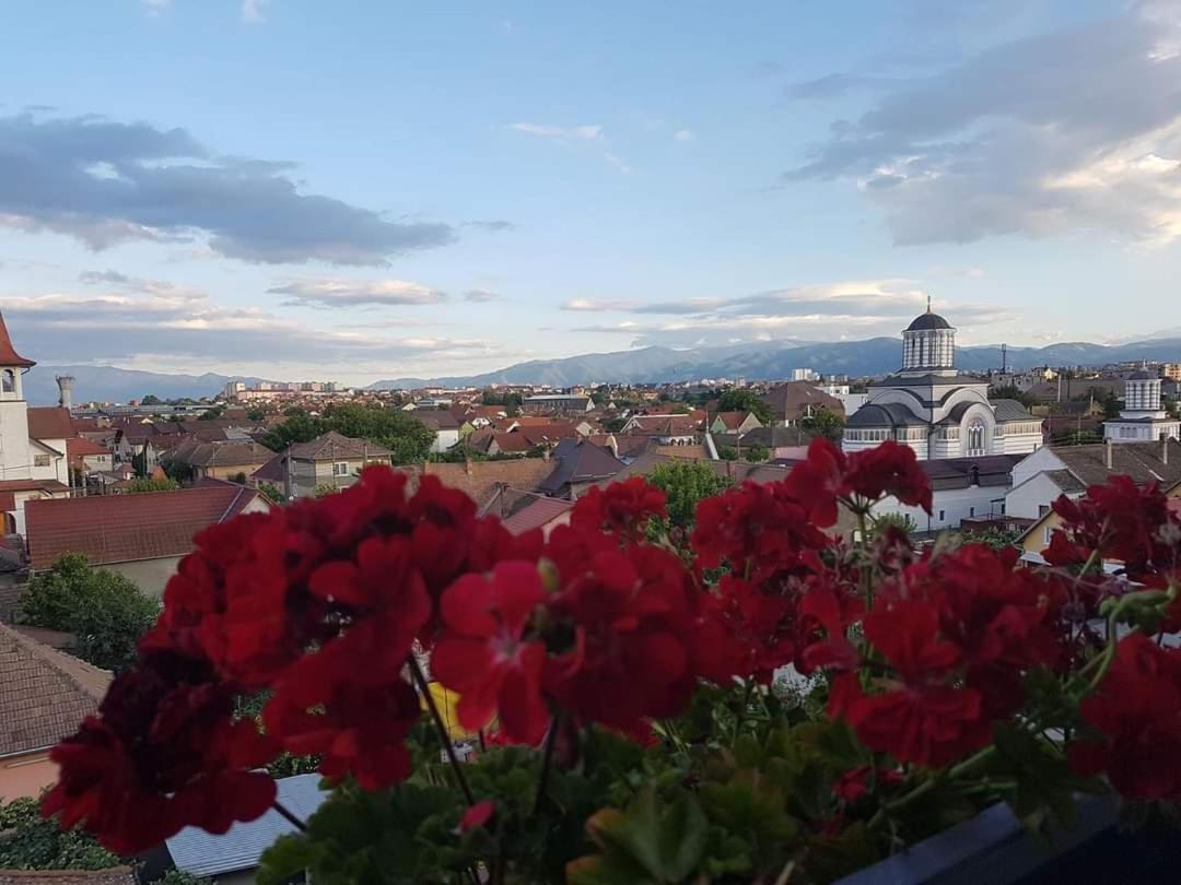 Sibiu Bach Penthouse Apartment Exterior foto